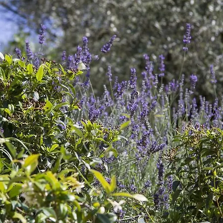 Villa Piccola Rio Cortona